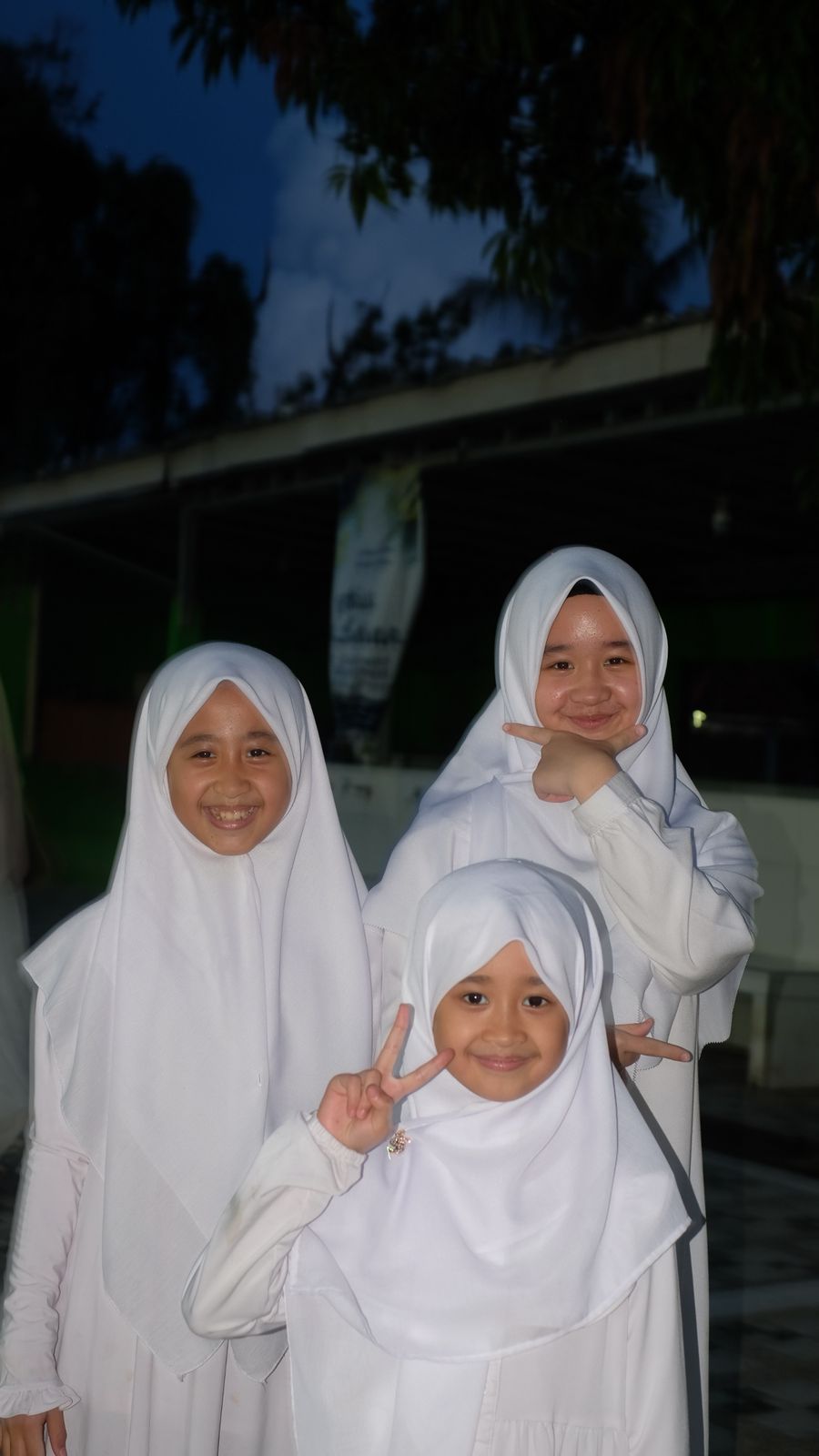 3 NAHLA